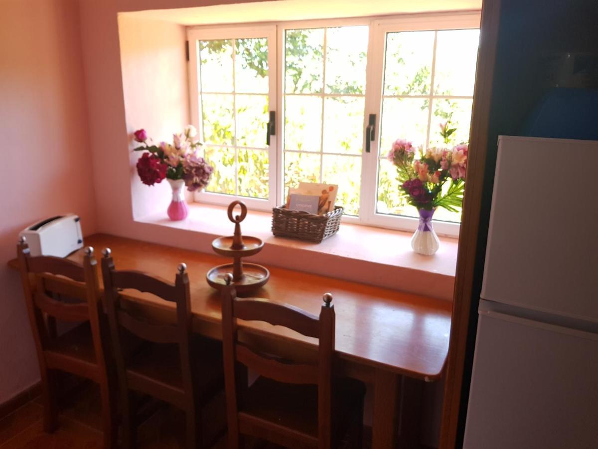 Finca Rural Torres 2 Bed And Breakfast 科斯塔卡玛 外观 照片