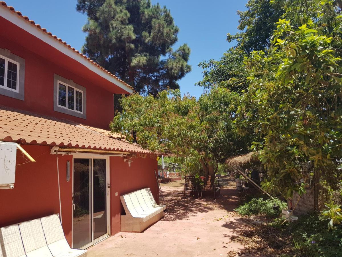 Finca Rural Torres 2 Bed And Breakfast 科斯塔卡玛 外观 照片