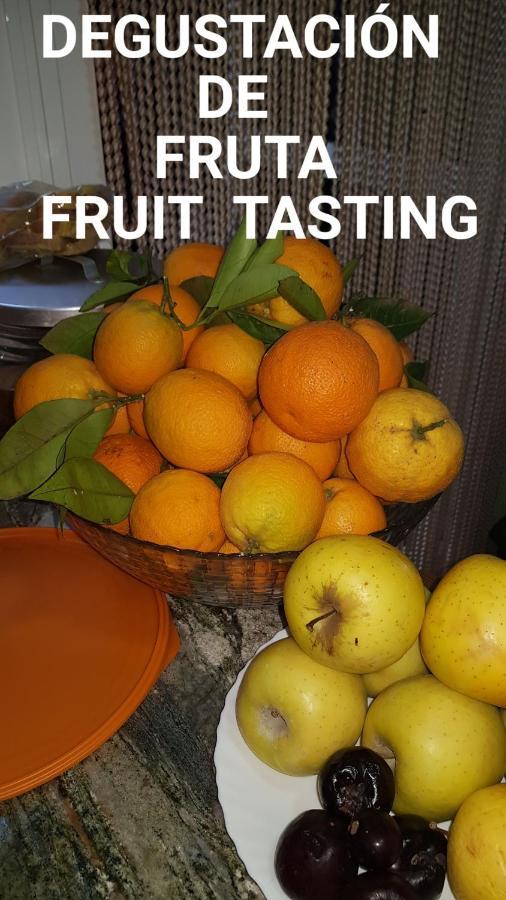 Finca Rural Torres 2 Bed And Breakfast 科斯塔卡玛 外观 照片
